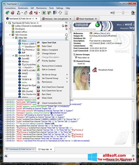 Snimak zaslona TeamSpeak Windows 8