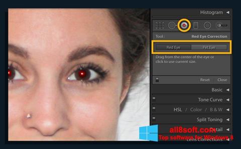 Snimak zaslona Red Eye Remover Windows 8
