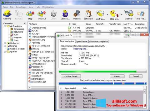 Snimak zaslona Internet Download Manager Windows 8