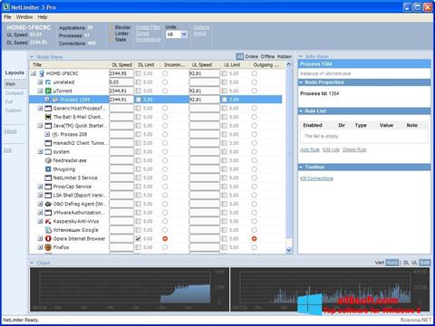 Snimak zaslona NetLimiter Windows 8