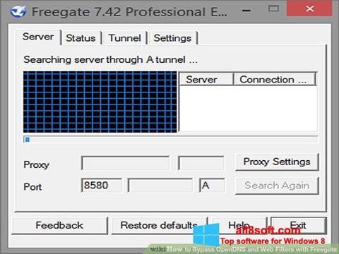 Snimak zaslona Freegate Windows 8