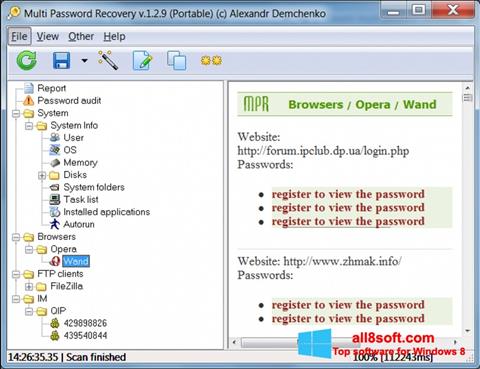 Snimak zaslona Multi Password Recovery Windows 8