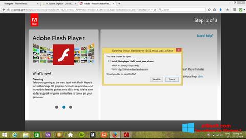 Snimak zaslona Adobe Flash Player Windows 8