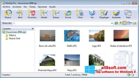 Snimak zaslona WinZip Windows 8