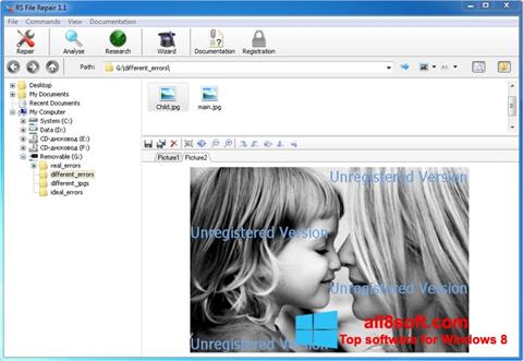 Snimak zaslona File Repair Windows 8