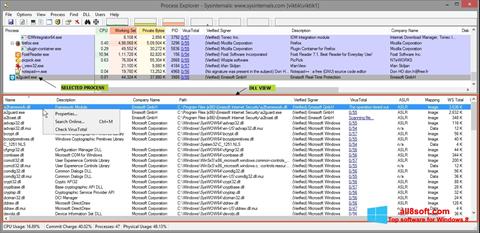 Snimak zaslona Process Explorer Windows 8